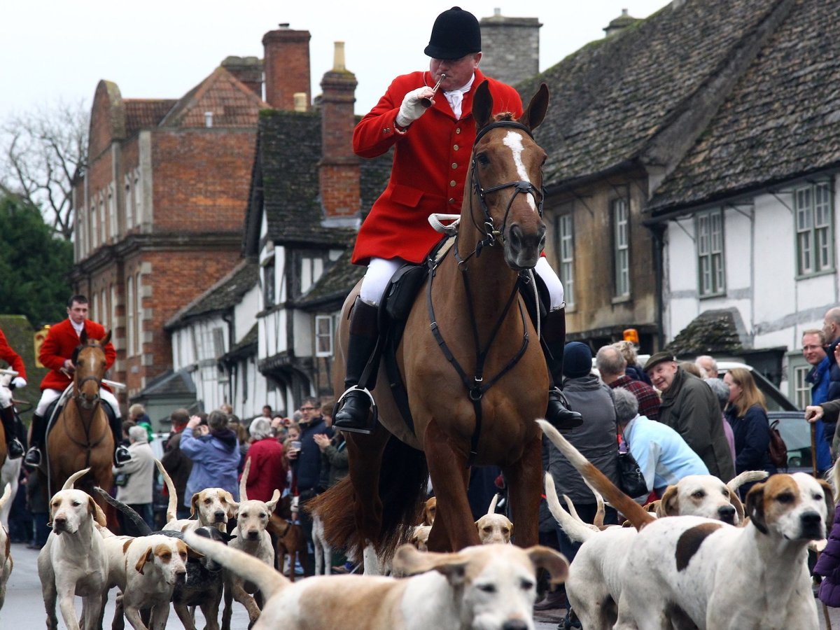 Британские конюшни. Boxing Day. Boxing Day традиции. Fox Hunting in Britain.