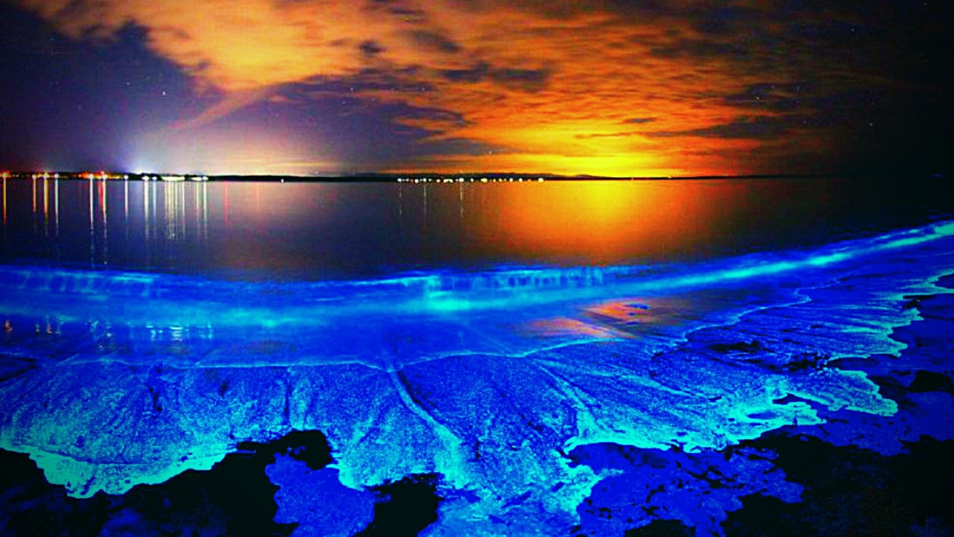 как светится азовское море