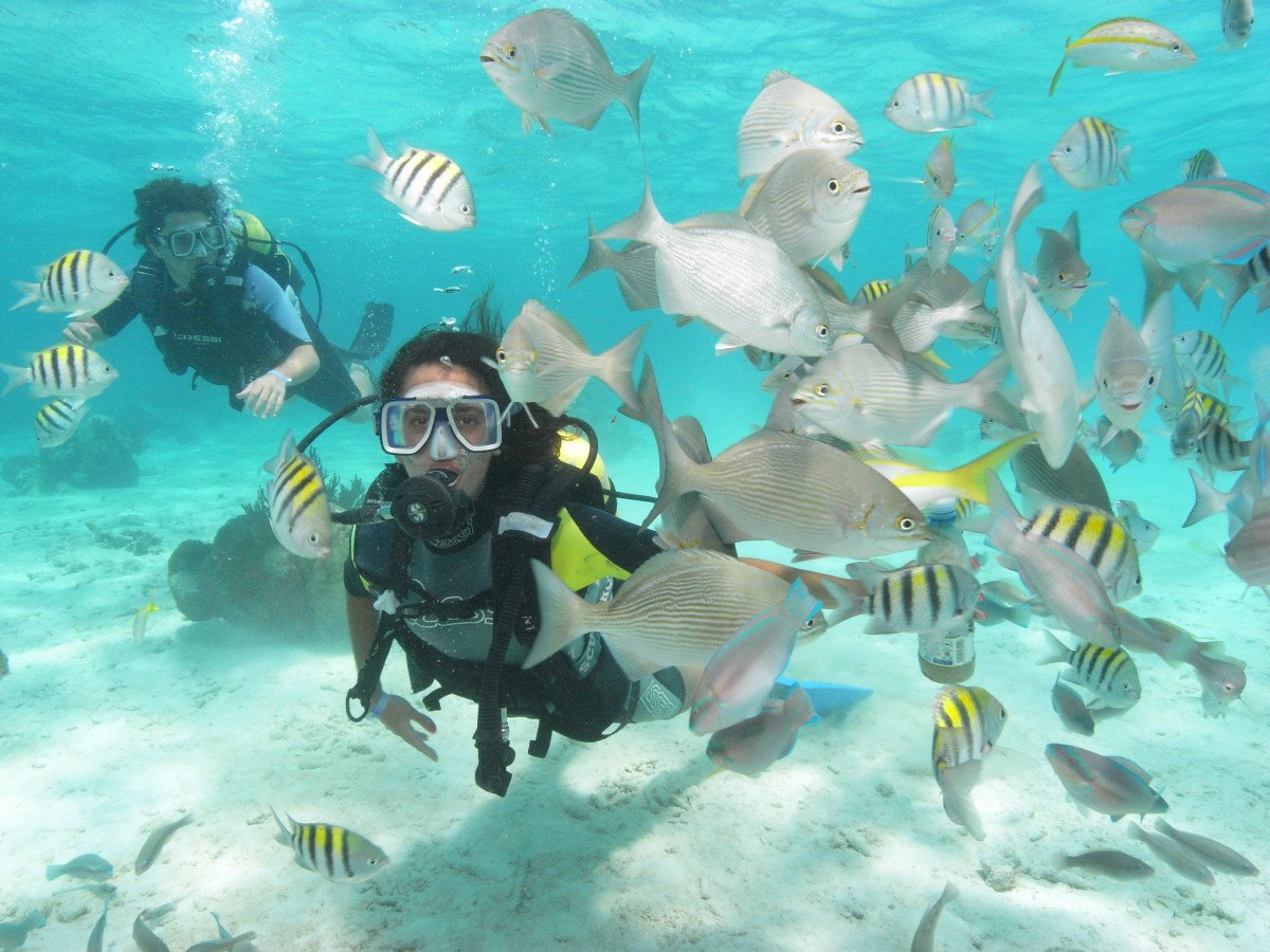 Фуджейра пляж Shark Island