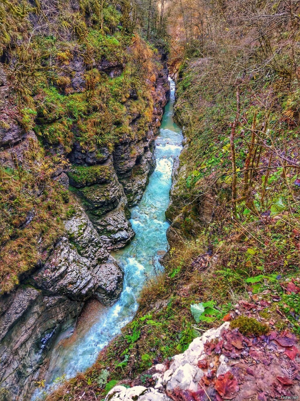 Гуамское ущелье Апшеронский район Краснодарский край