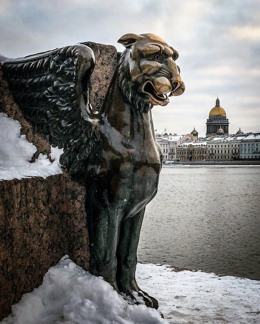 Грифон петербург. Грифоны на Университетской набережной. Грифоны в Санкт-Петербурге на Университетской набережной. Грифон у Академии художеств в Санкт-Петербурге. СПБ Грифоны на Университетской набережной.