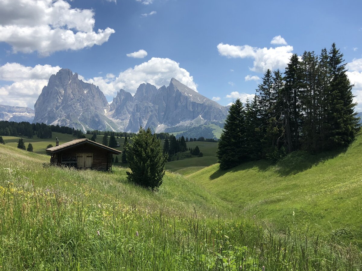 Альпийская сказка гора фото