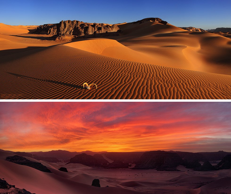 Планета земля пустыня. Пустыня сахара. Пустыни Африки сахара. Сахара самая большая пустыня в мире. Пустыня панорама.