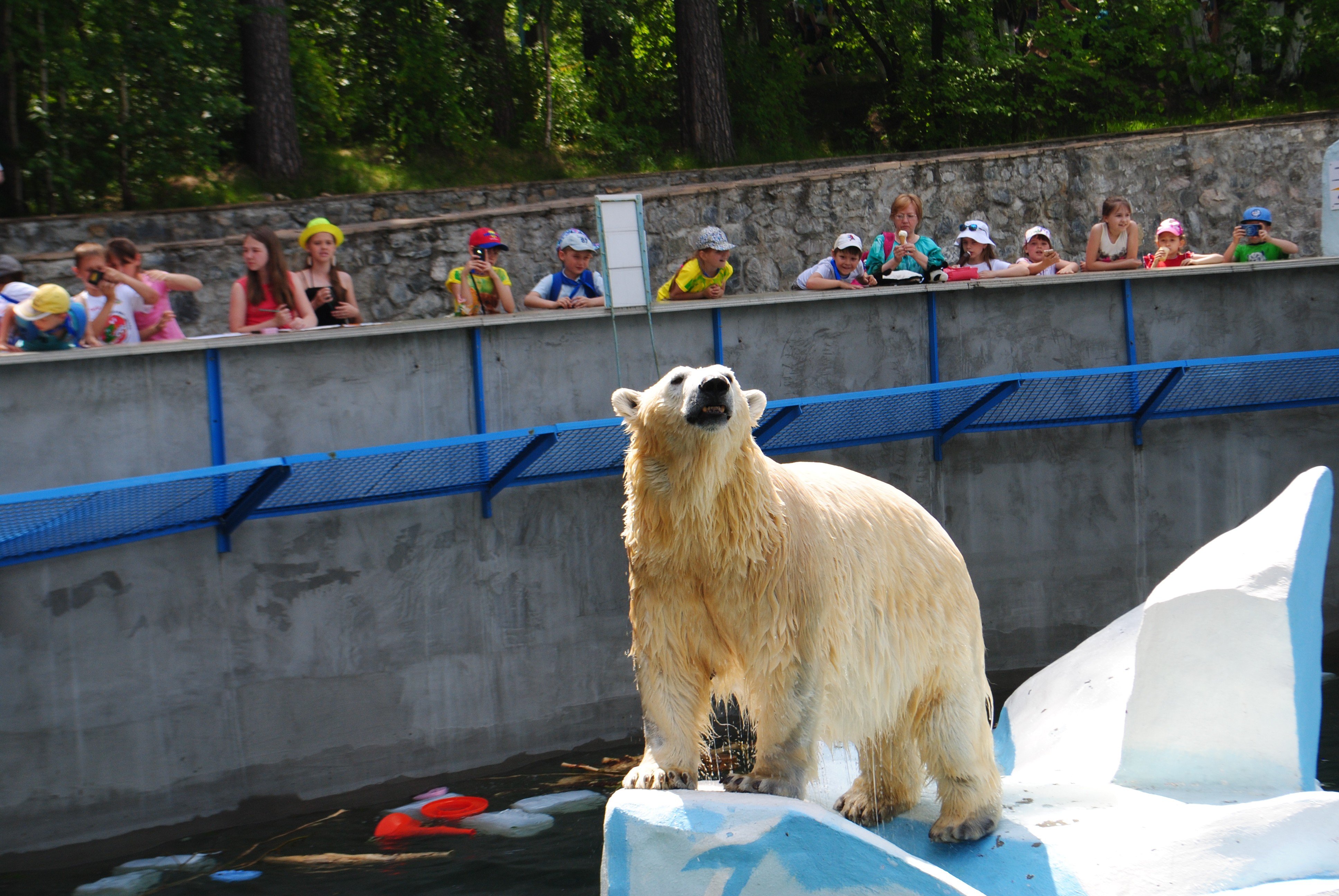 Есть ли зоопарк в новосибирске