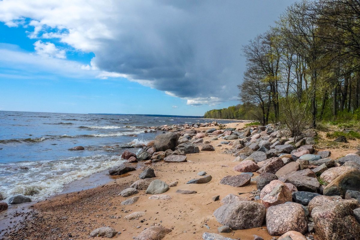 Финский Залив В Санкт Петербурге Фото Летом