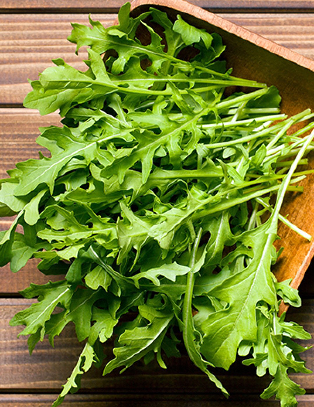 Eruca Sativa руккола