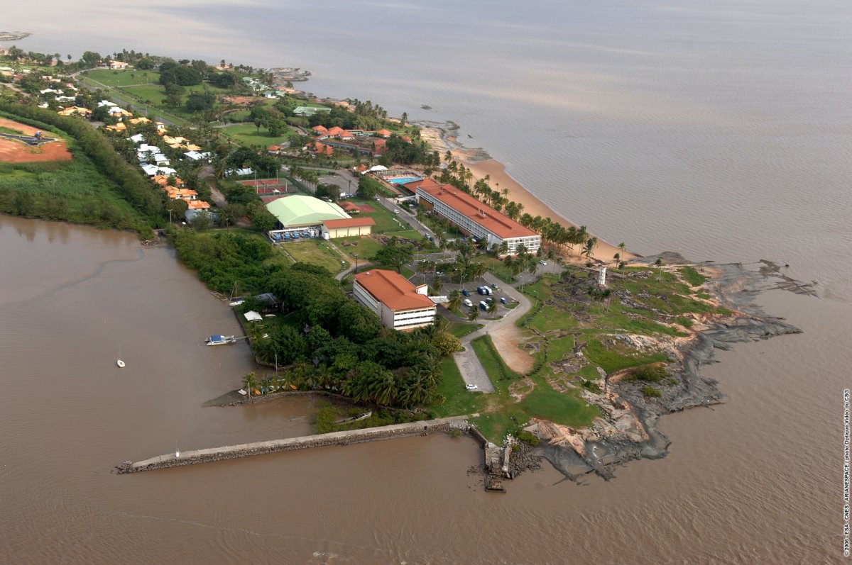 Куру Гвиана