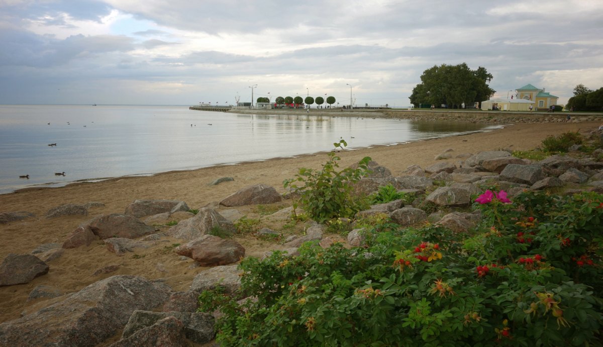Петергоф финский залив