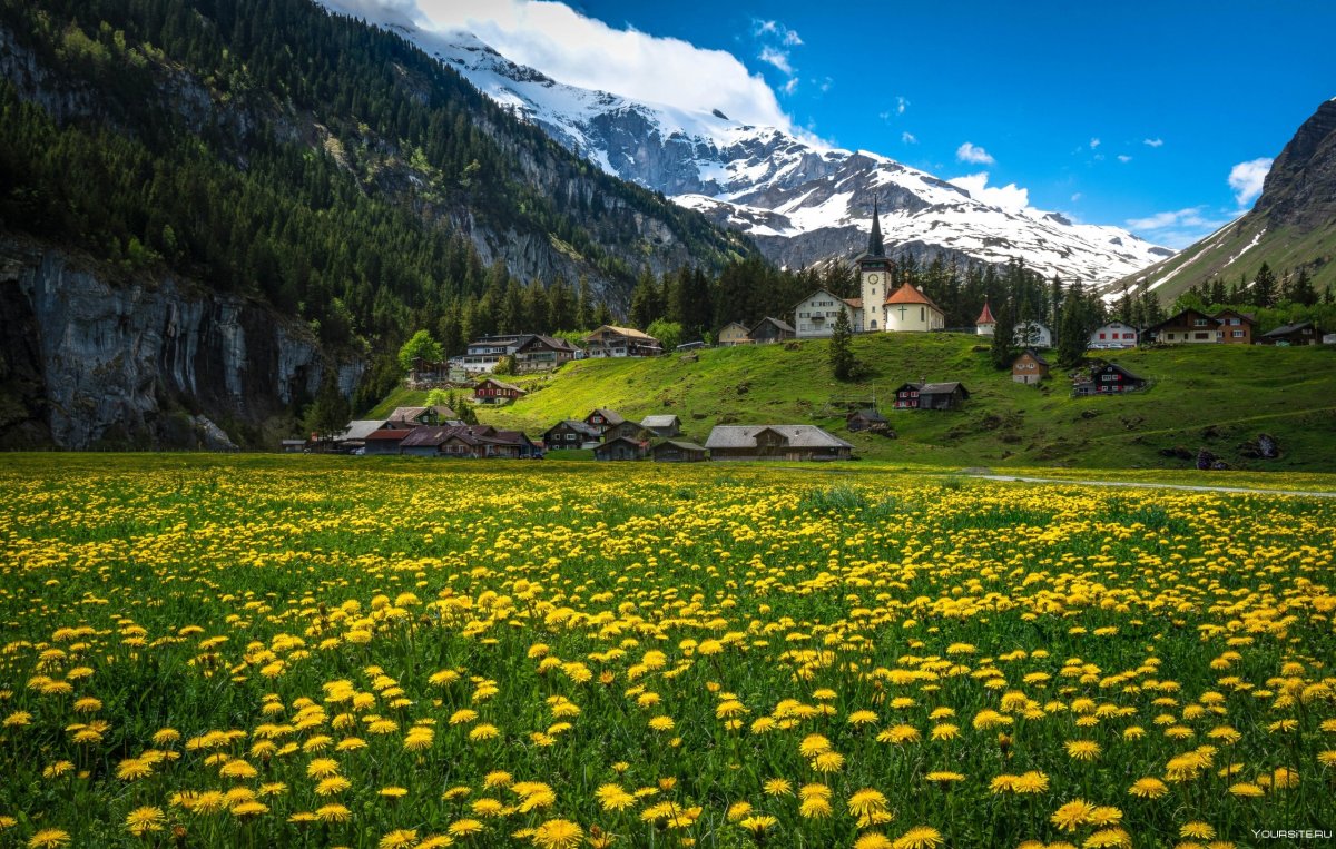Альпийские луга швейцария