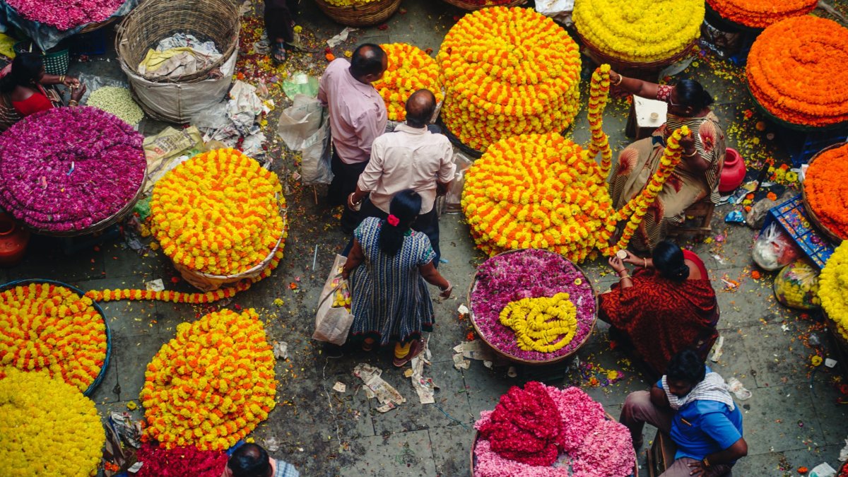 Matrix Exports Bangalore India