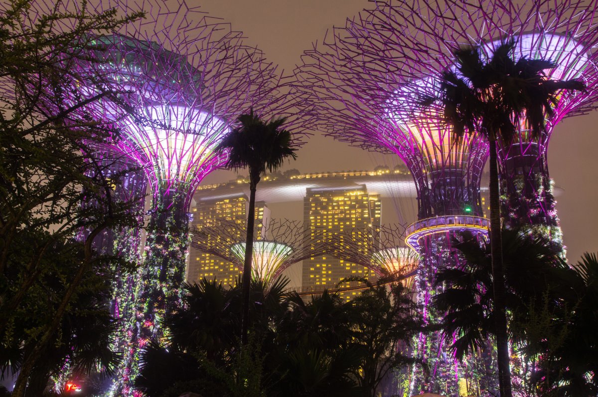 Парк сады у залива сингапур