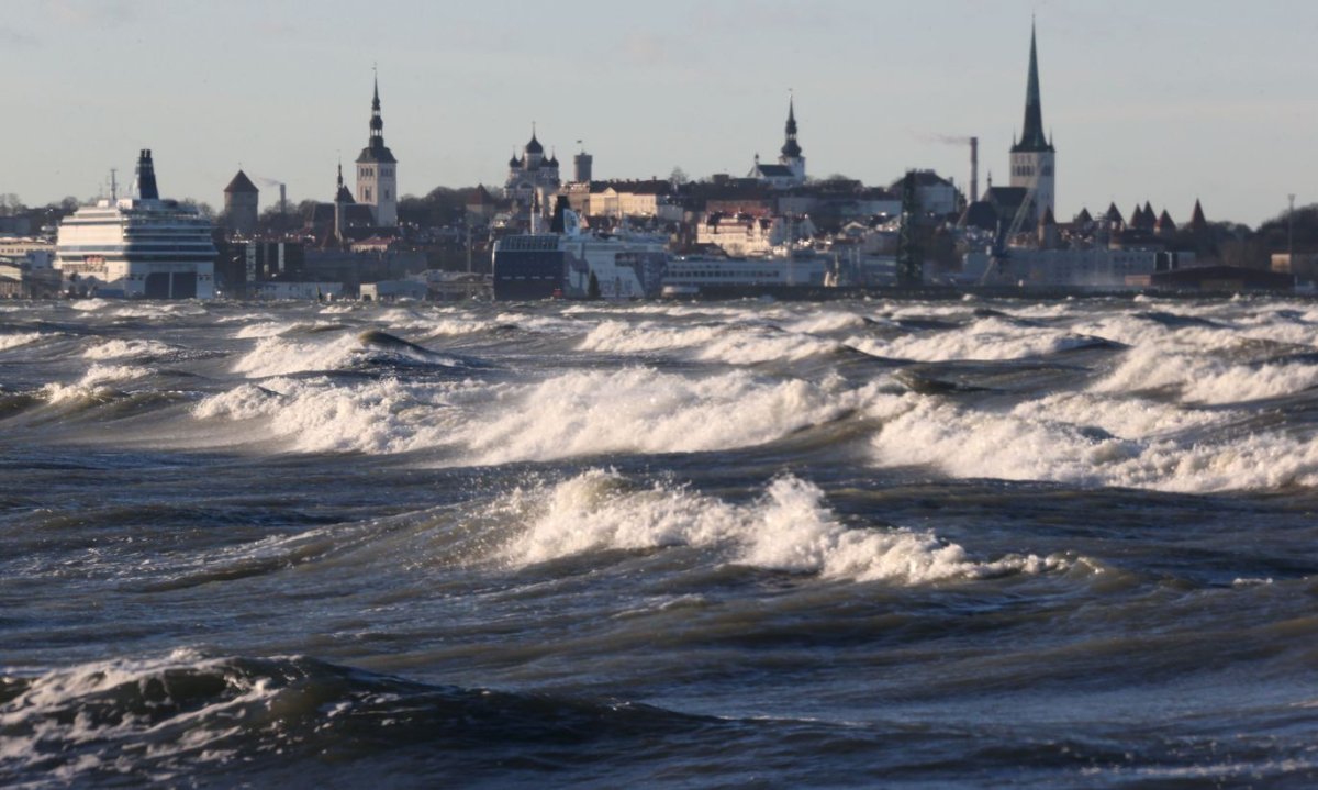 Балтийское море Таллин
