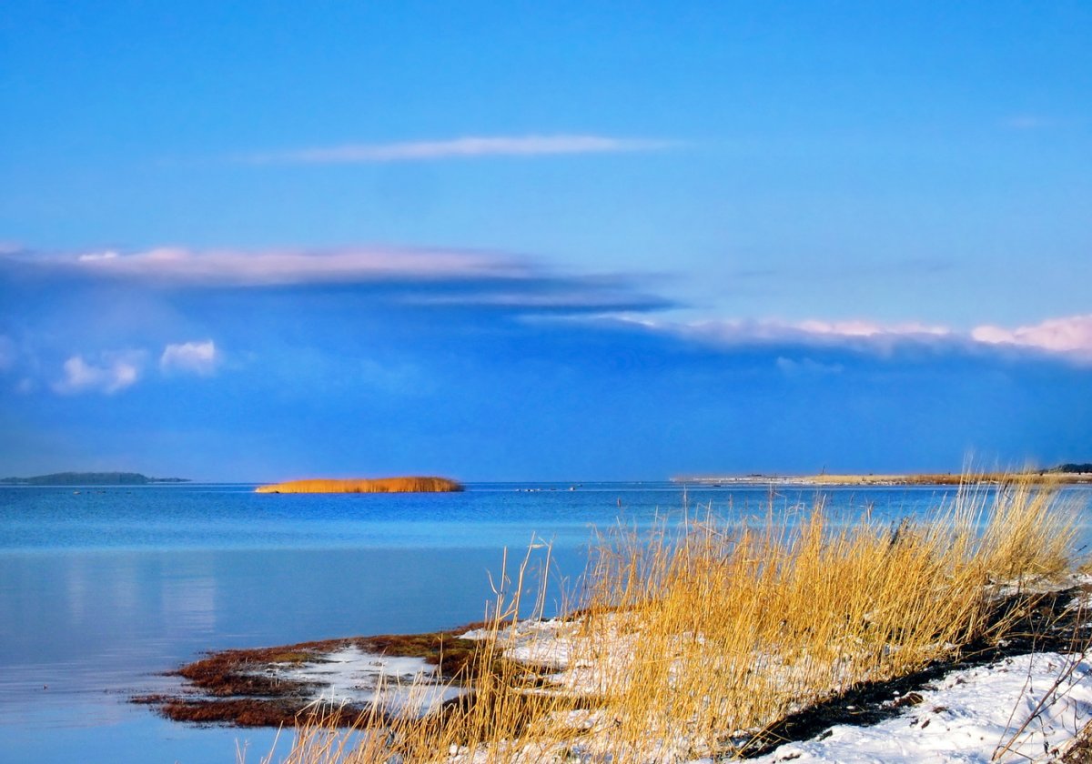 Эстония Балтийское море