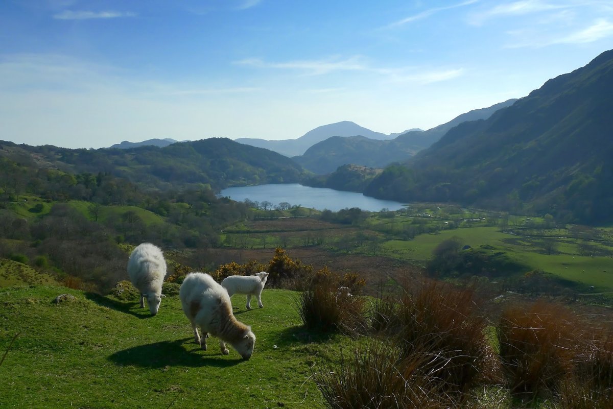 Национальный парк Snowdonia