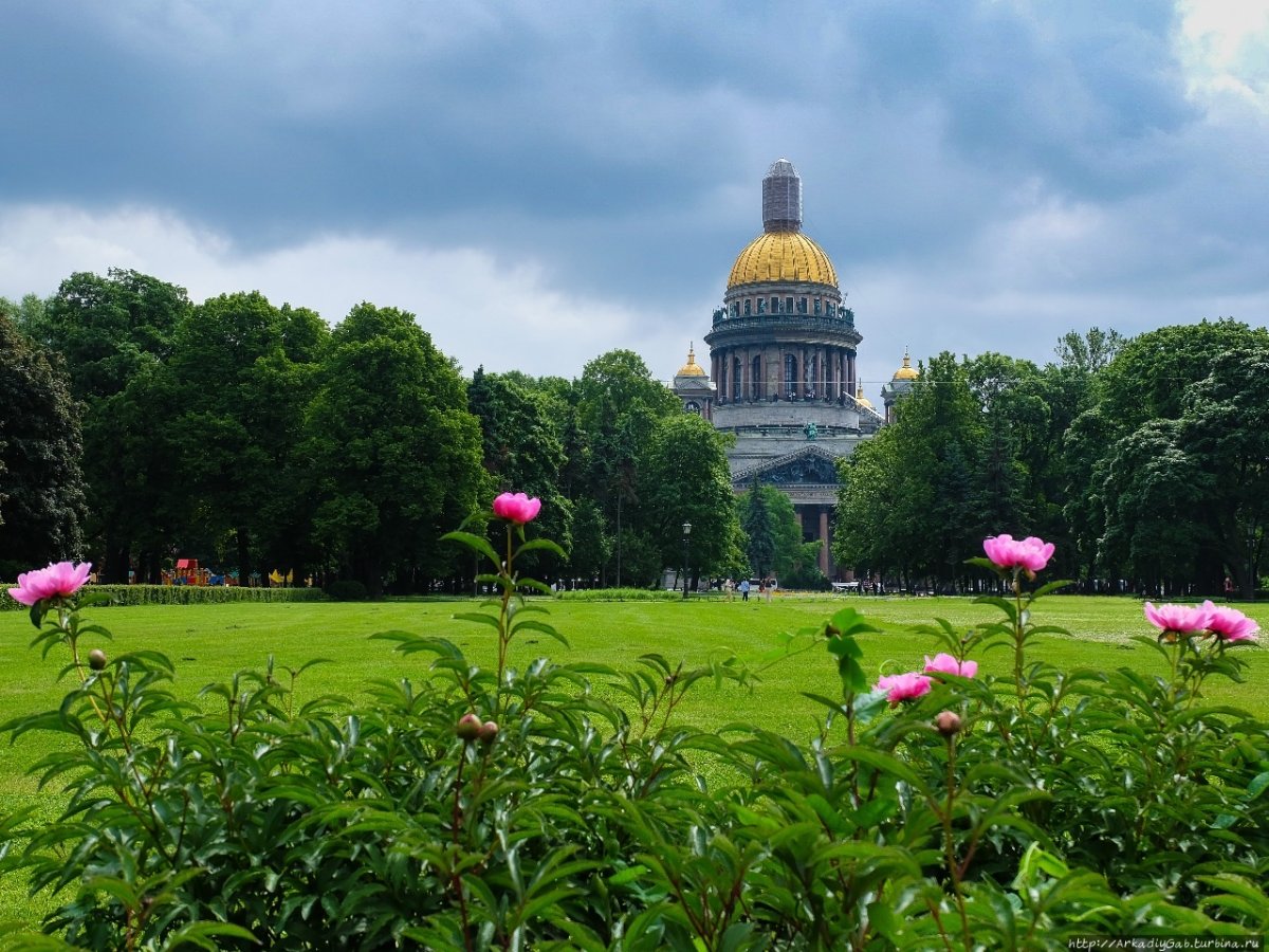 Санкт-Петербург лето Санкт-Петербург