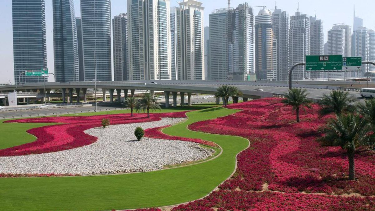 Dubai green. Озеленение парка Абу Даби. Аль Айне эмираты парк. Дубай Гранд парк. Парадайз парк Дубай.