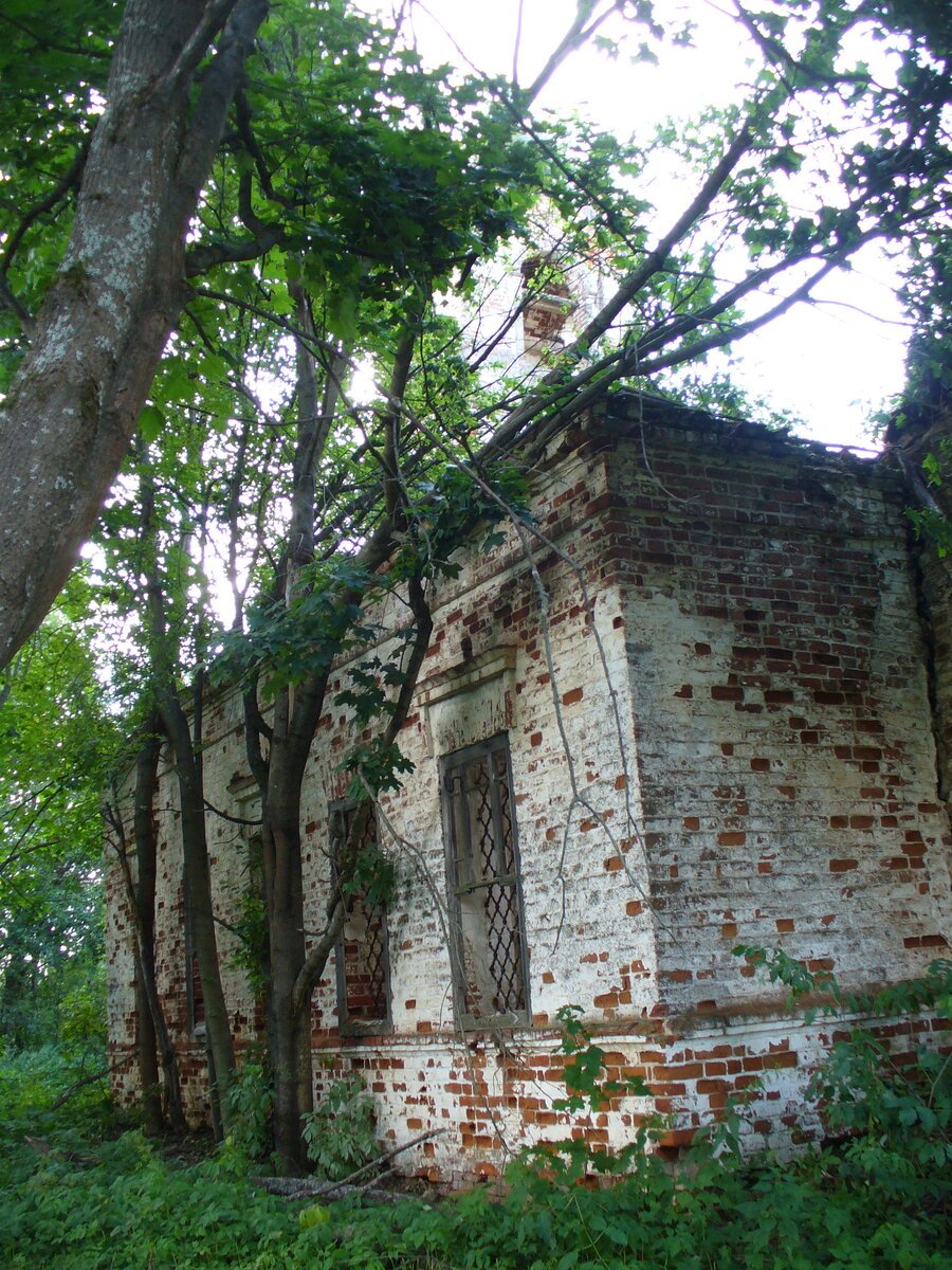 Истра Покровская Церковь