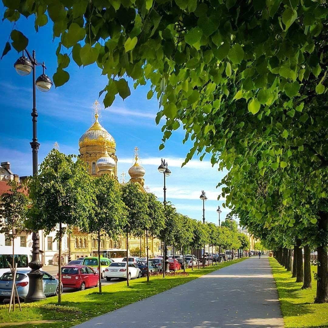 Каком городе лето. Санкт-Петербург. Санкт-Петербург лето. Летний Санкт-Петербург даорвй. Питер летом.