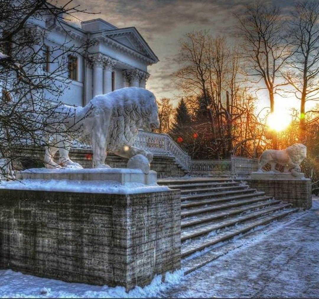 Зимний сад санкт петербург фото