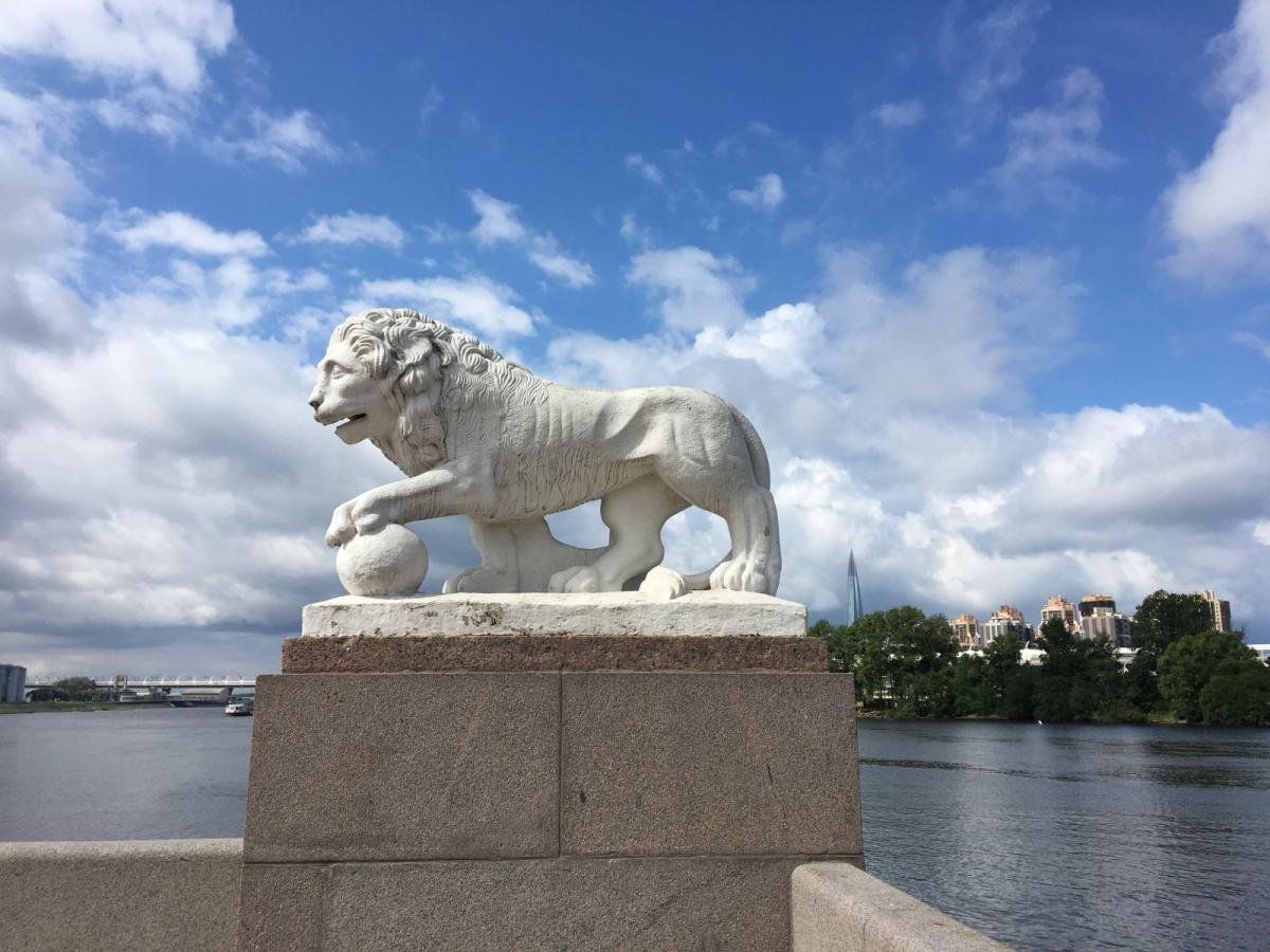 Львы санкт петербурга фото