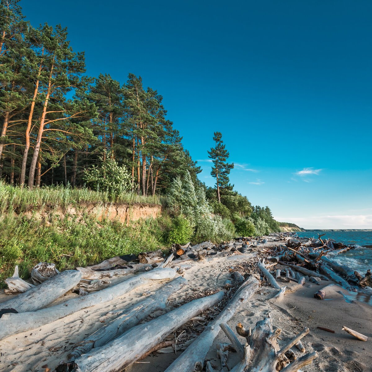 Отдых в новосибирске на обском море. Обское озеро. Обское море Бердск. Обское водохранилище Новосибирск. Обское водохранилище Ордынское.