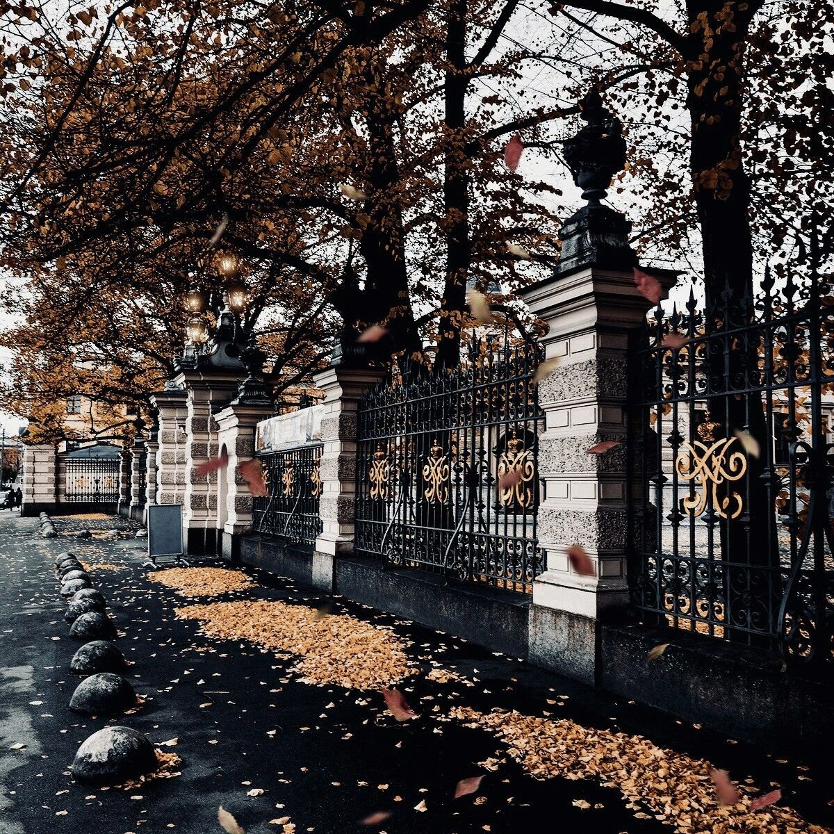 Петербург осень серая