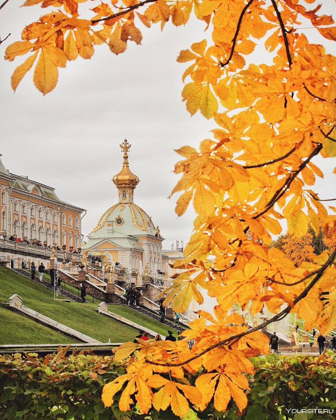 Петербург осень Петергоф