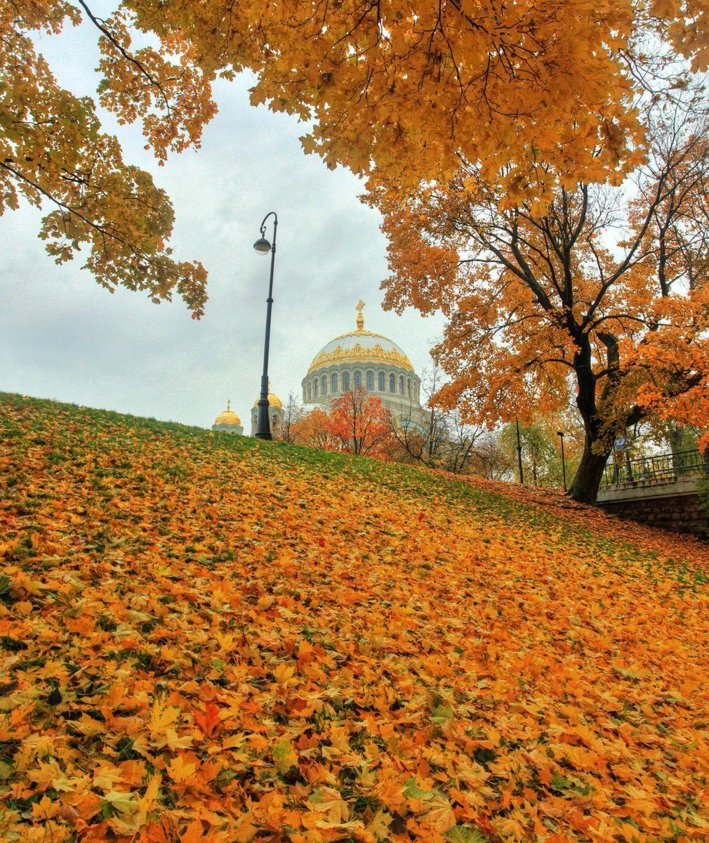 Осень В Петербурге Фото Красивые