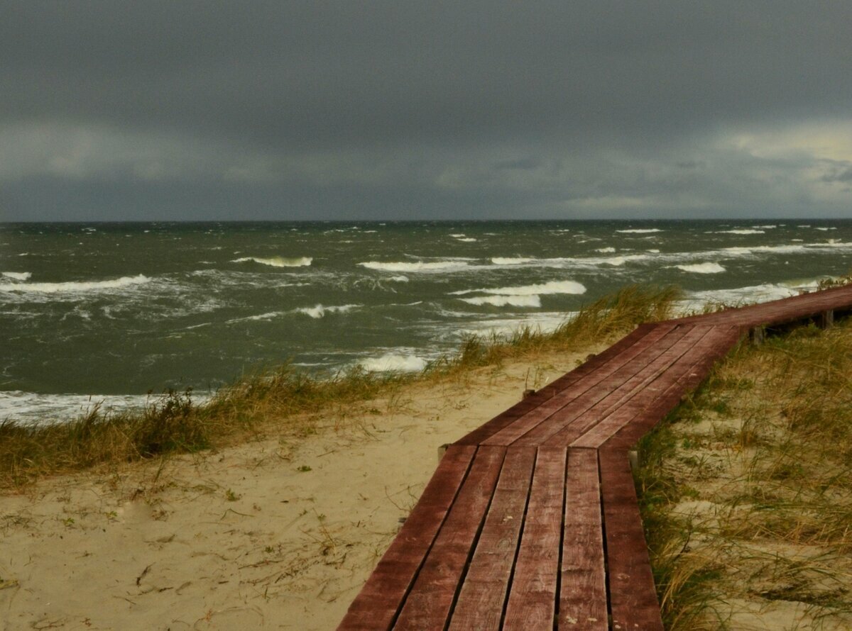 Коса в калининграде. Балтийское море Куршская коса. Калининград море Куршская коса. Кенигсберг коса Куршская. Калининград Песчаная коса.