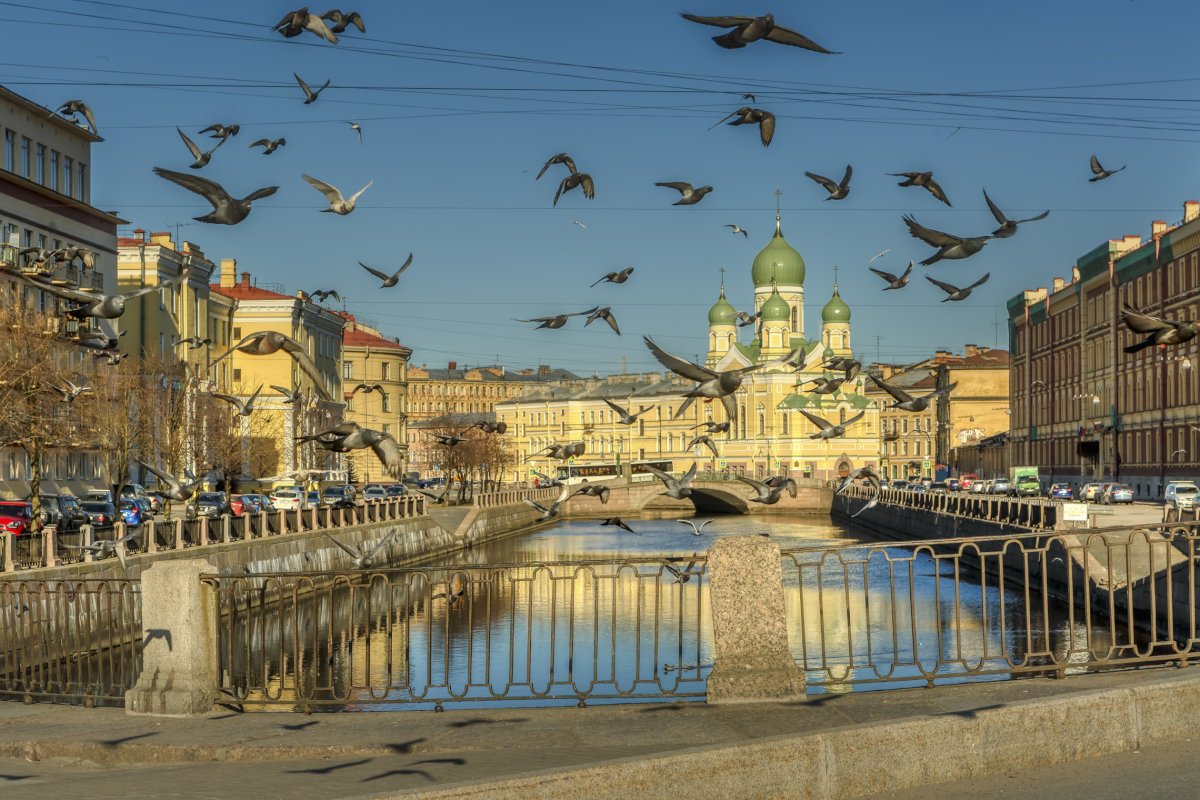 7 мостов санкт петербург