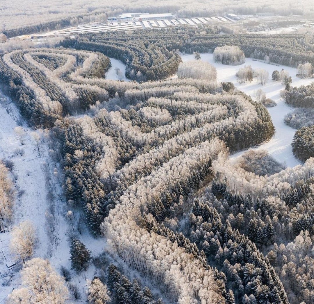 Дендропарк Новосибирск Фото