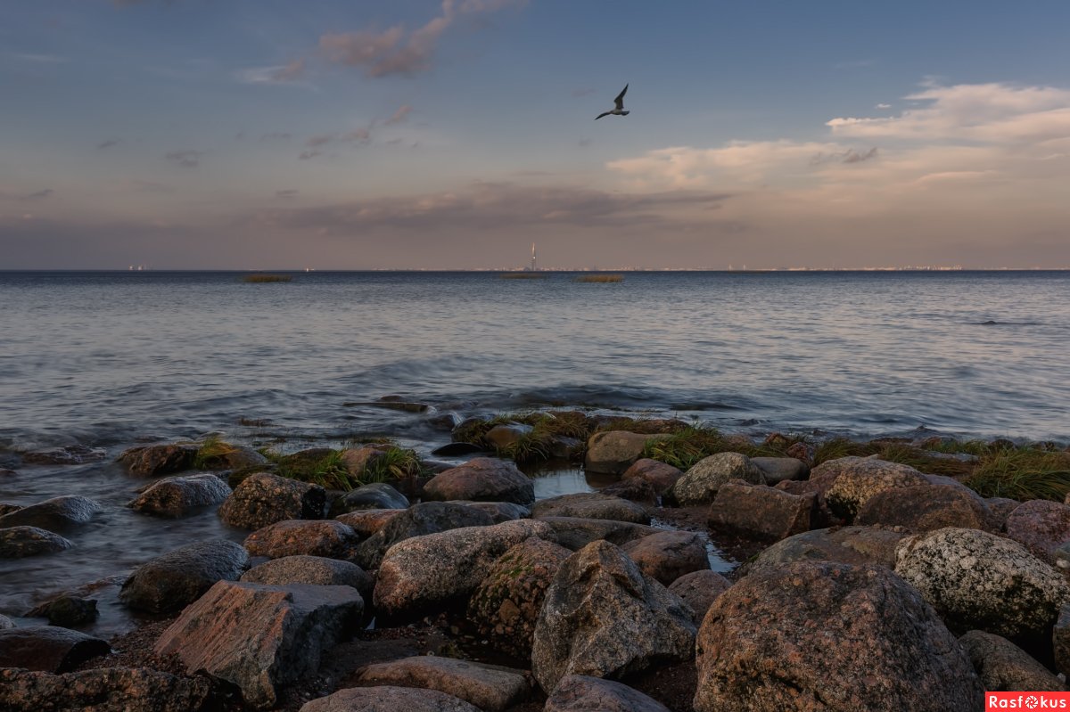 Балтийское море в Питере