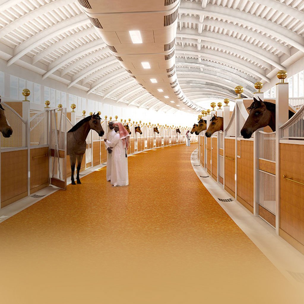 Королевские конюшни Дубай. Конюшня в Абу Даби. Конюшни шейха в Дубае. ОАЭ конюшни шейхов. Золотые конюшни