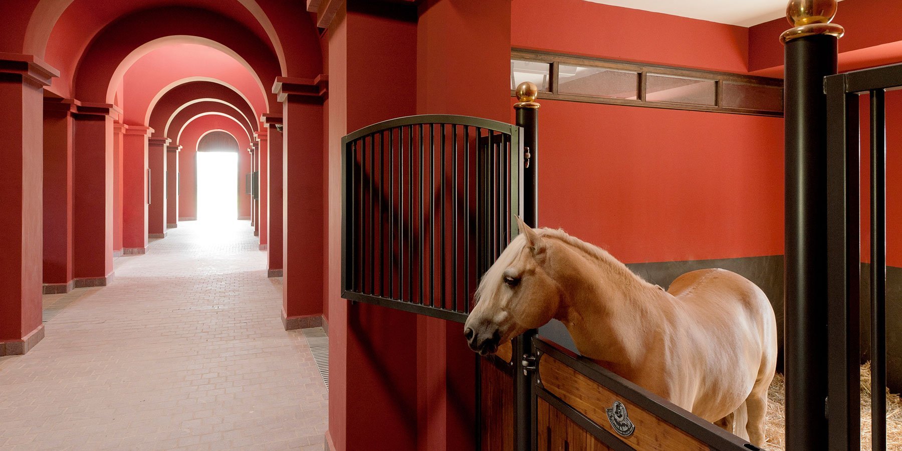 Помещения конюшни. Конюшня в Абу Даби. Конюшня в Дубае. Музей конюшня в Шанхае. Королевские конюшни в Стокгольме.