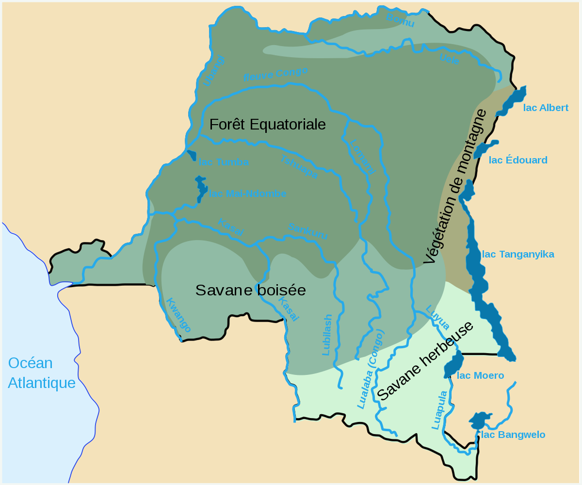 Климатические пояса демократической республики конго. Природные зоны Демократической Республики Конго. Водосборные бассейны Демократической Республики Конго. Карта природных зон Демократической Республики Конго. Гидрография Африки.