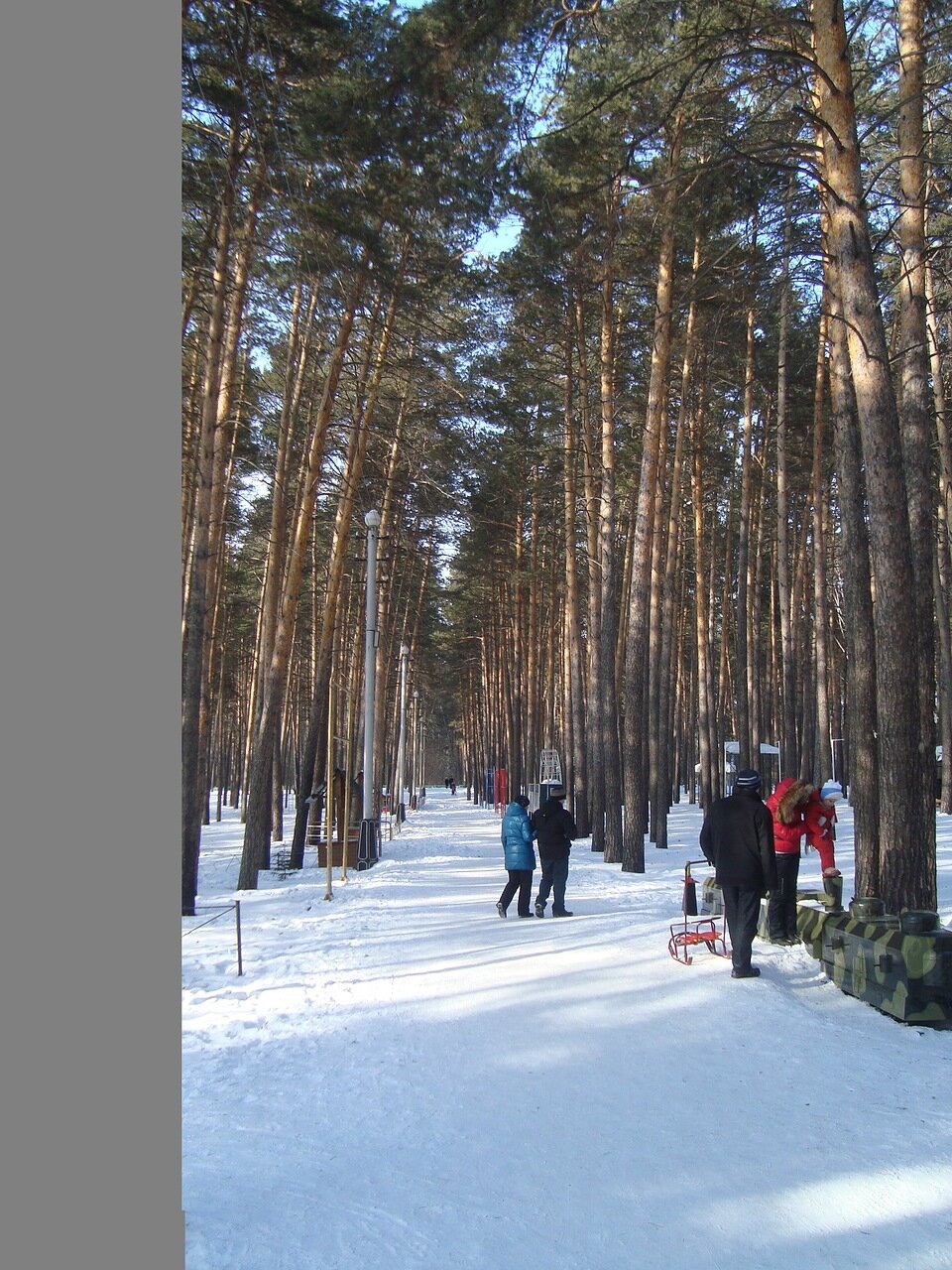 Локомотив заельцовский парк. Заельцовский парк Новосибирск. Заельцовский Бор Новосибирск зимой. Заельцовский парк Новосибирск зимой. Заельцовский парк в Новосибирске каток.