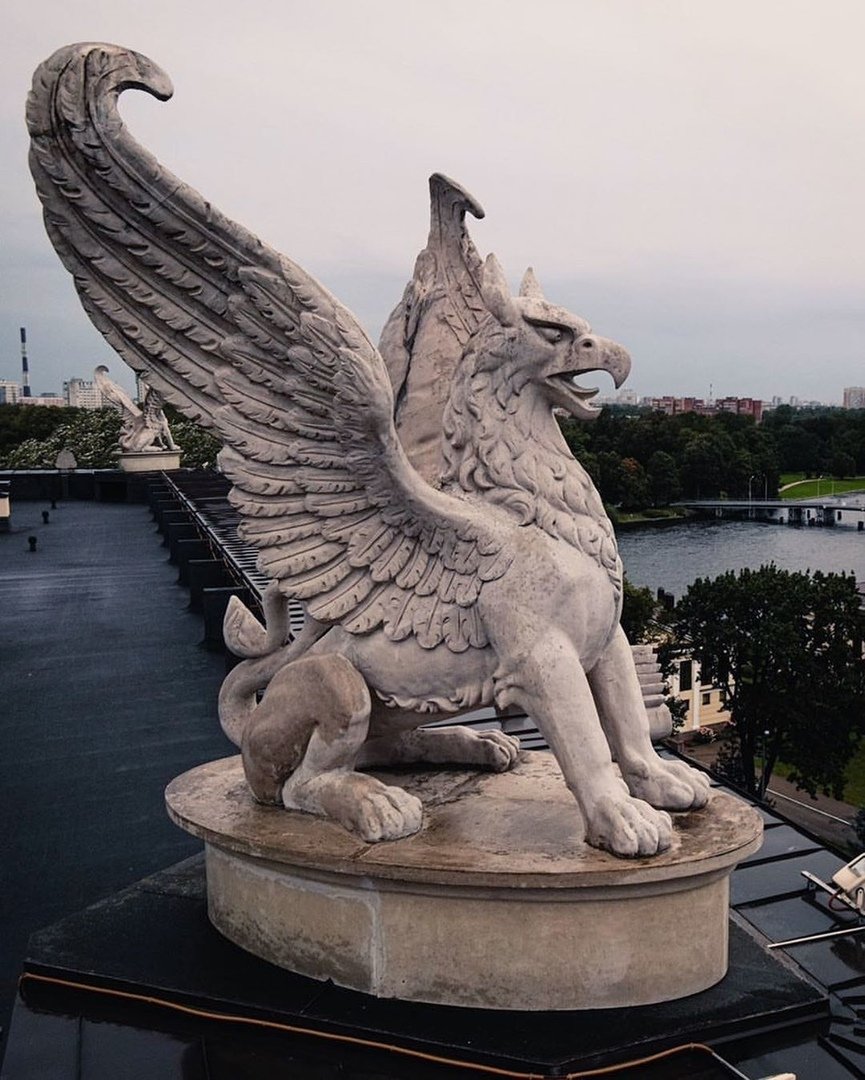 Грифоны Петербурга. Михайловский дворец Грифоны СПБ. Грифон в Санкт-Петербурге на набережной. Грифон у Академии художеств в Санкт-Петербурге.