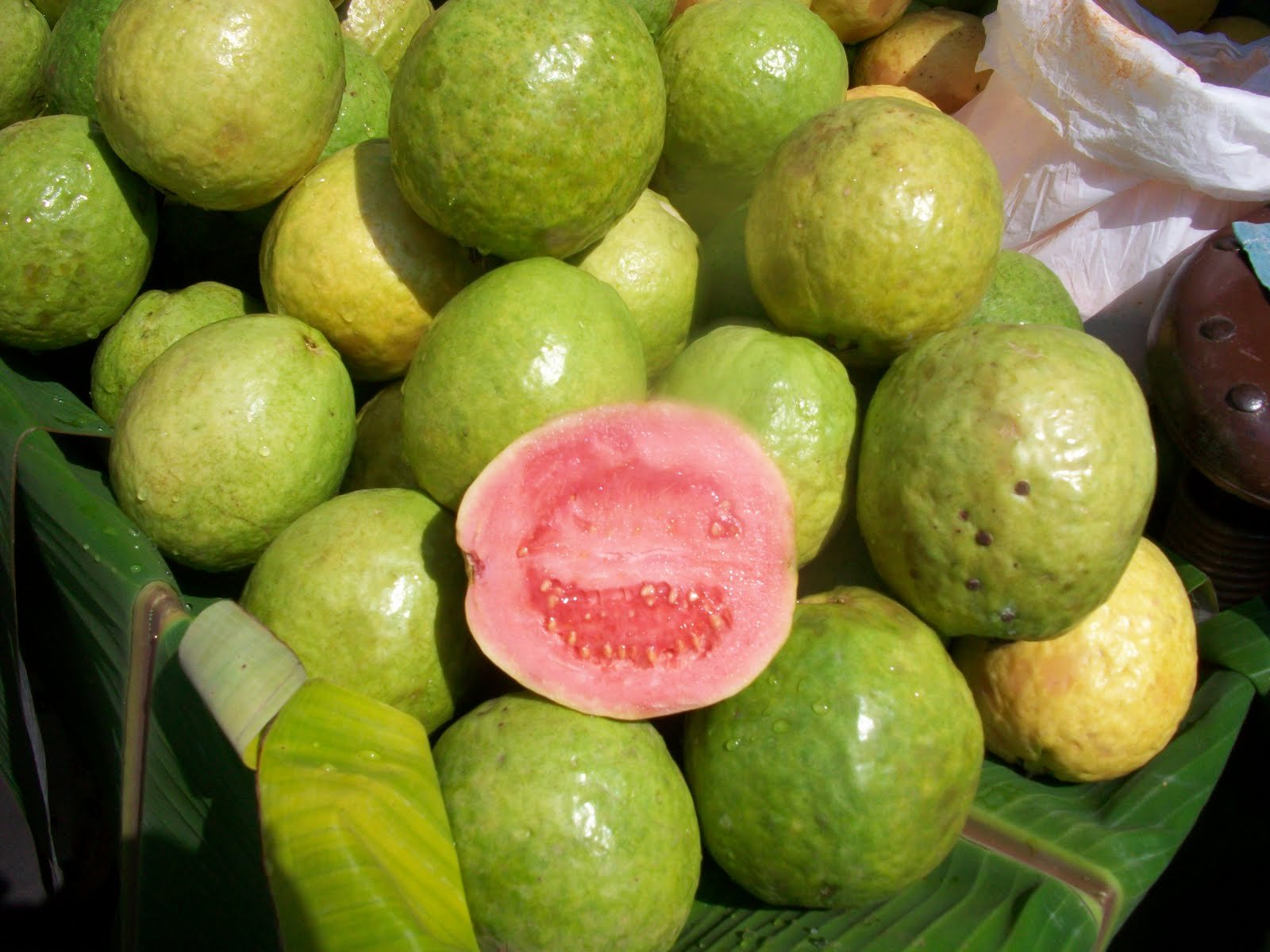 Фото зеленых фруктов. Гуава в Тайланде. Гуава Бразилия. Гуава тайская. Зеленый фрукт Тайланд.