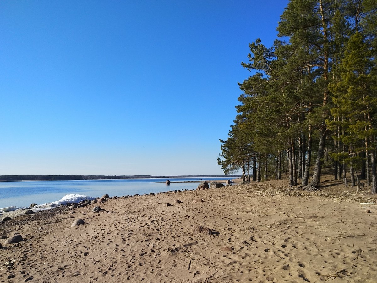 Комарово санкт петербург фото поселка. Финский залив Комарово. Репино Комарово пляж. Приморское шоссе финский залив. Финский залив Репино Комарово.