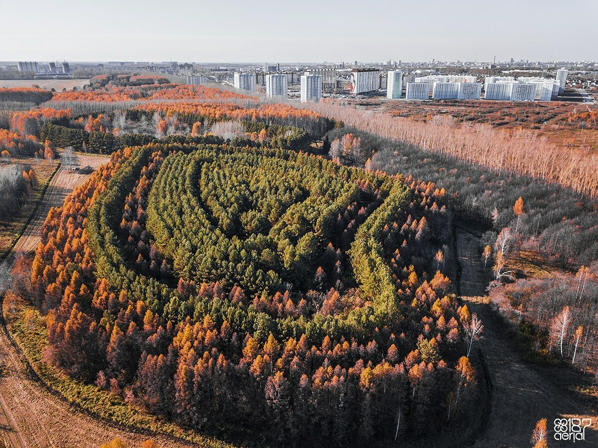 Дендропарк Новосибирск Фото