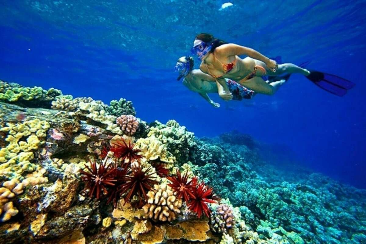 Шарм Эш Шейх снорклинг