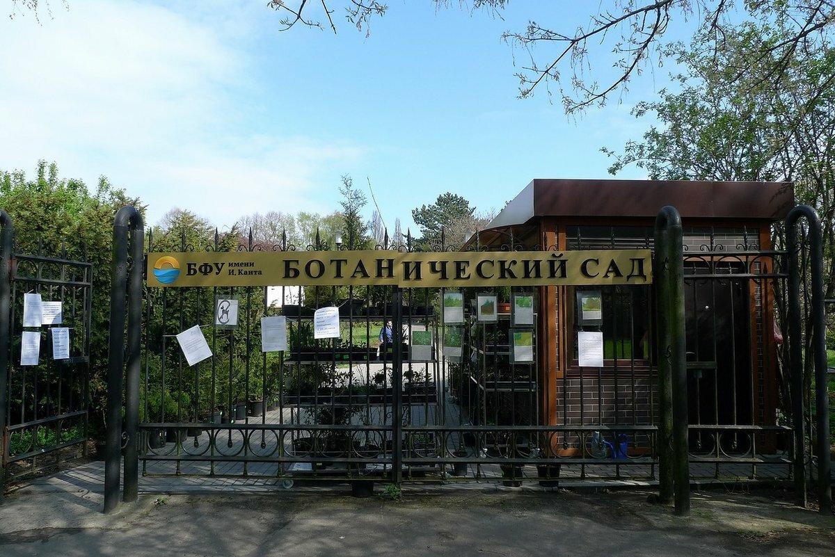 Ботанический сад Балтийского федерального университета им. и. Канта