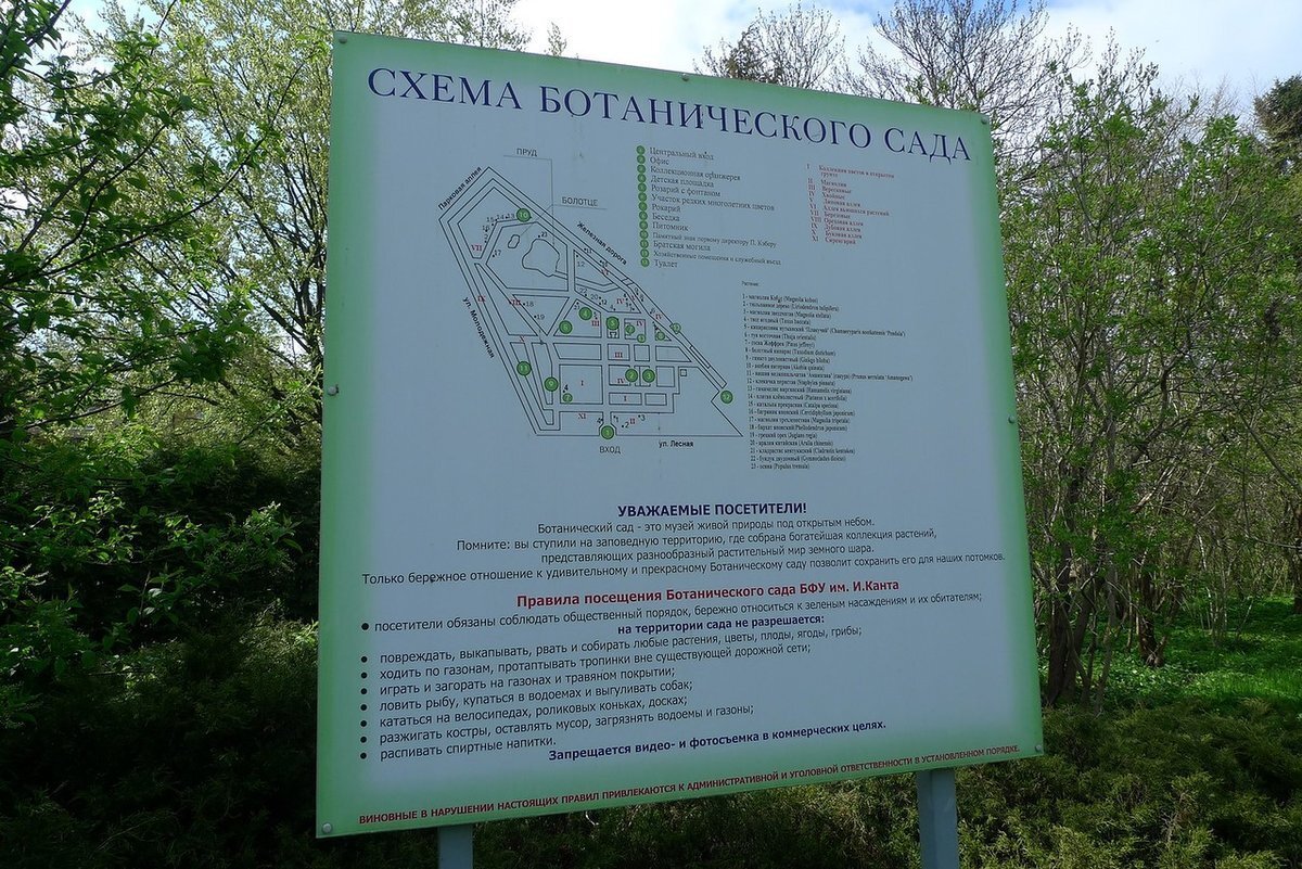 Калининградский Ботанический сад БФУ Канта билет