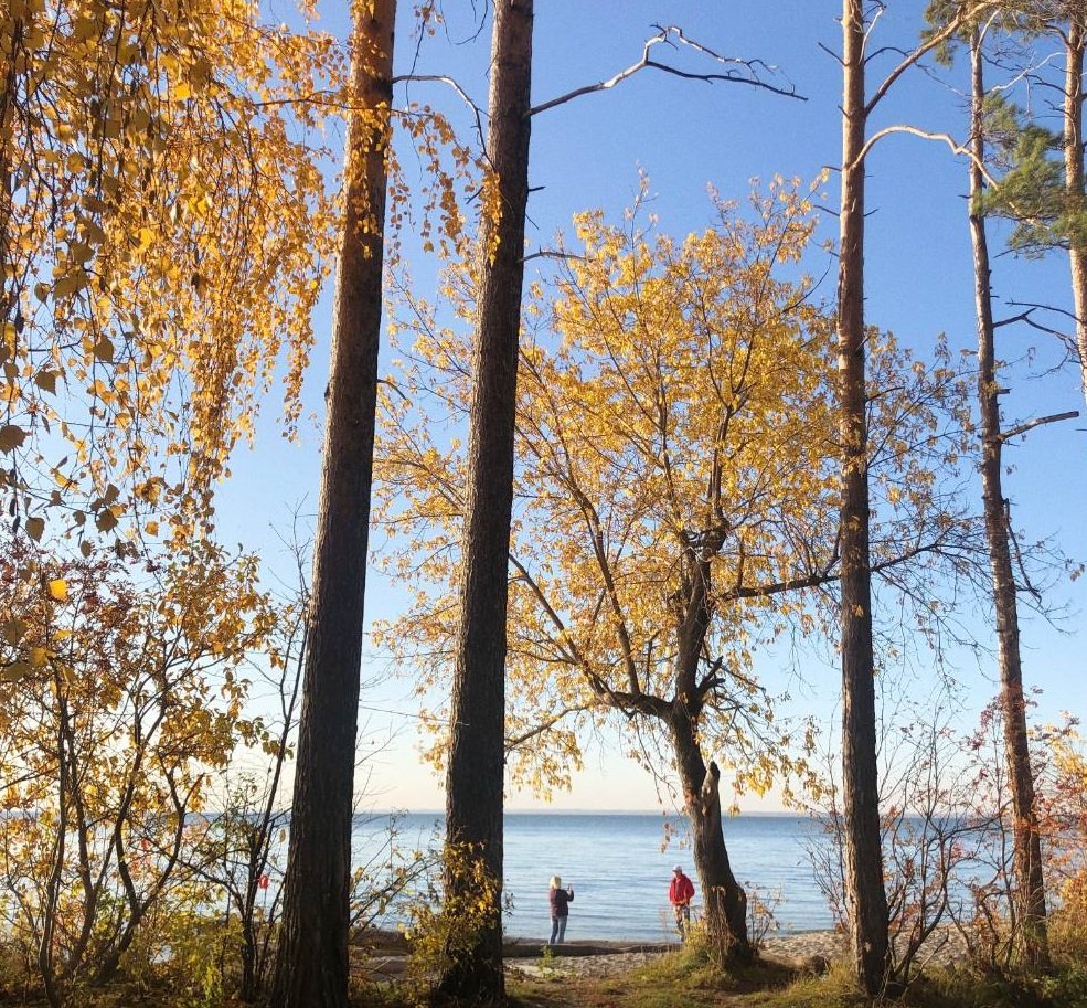 Осень в Новосибирске