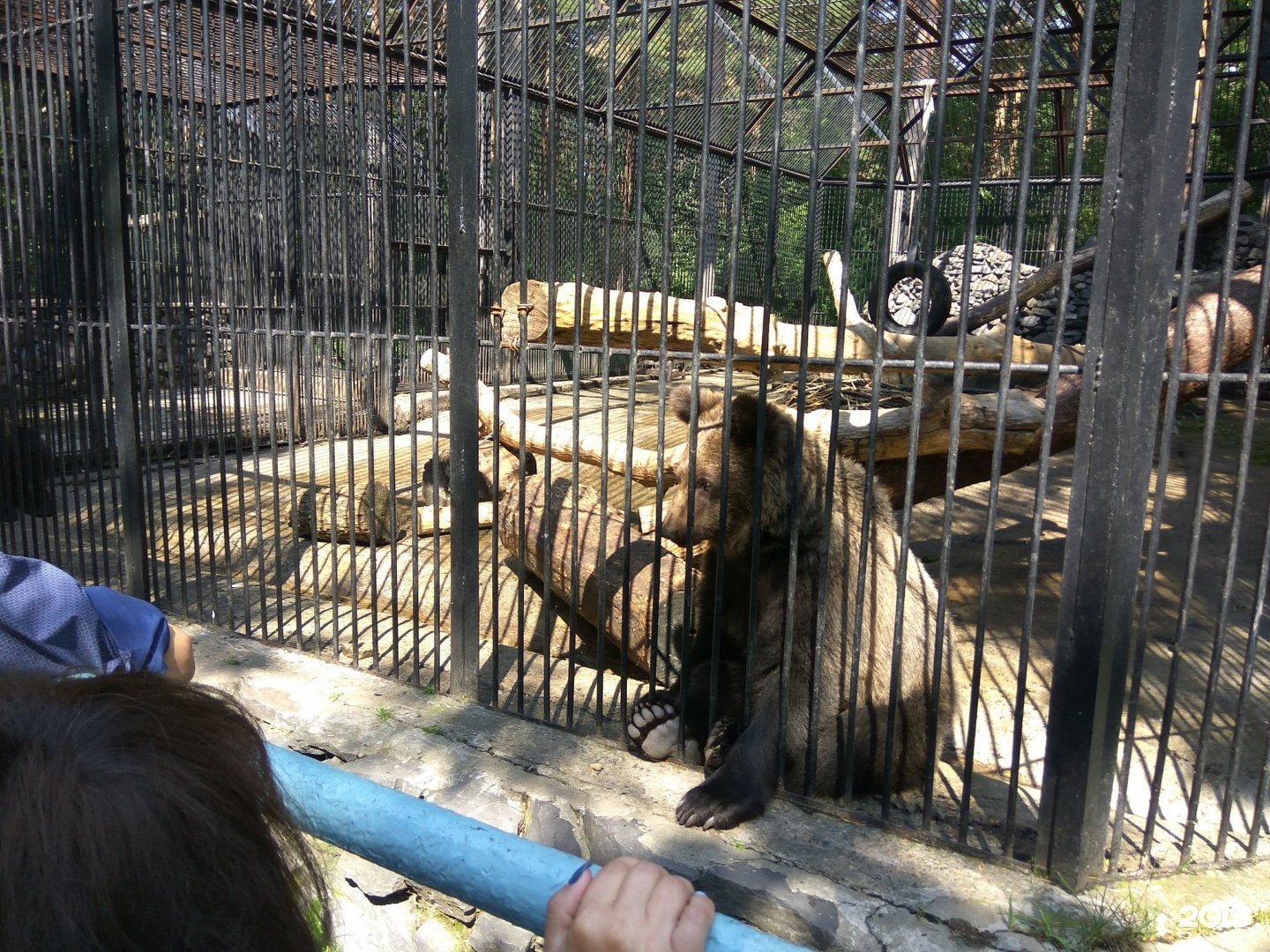 Есть ли зоопарк в новосибирске
