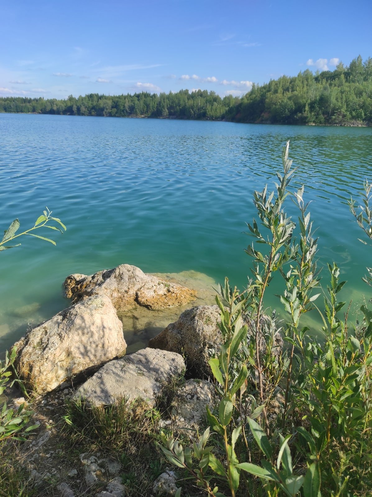 Каменищи нижегородская область. Каменищенский карьер Нижний Новгород. Каменищенский карьер Нижегородская область озеро. Каменищенский карьер фото.