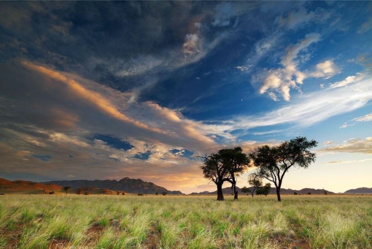 Намибия природа