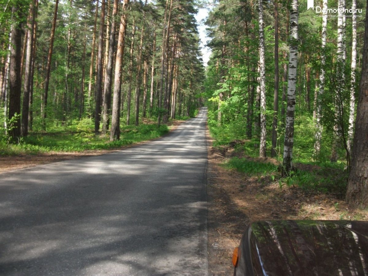 Зелёный Бор Казань лес