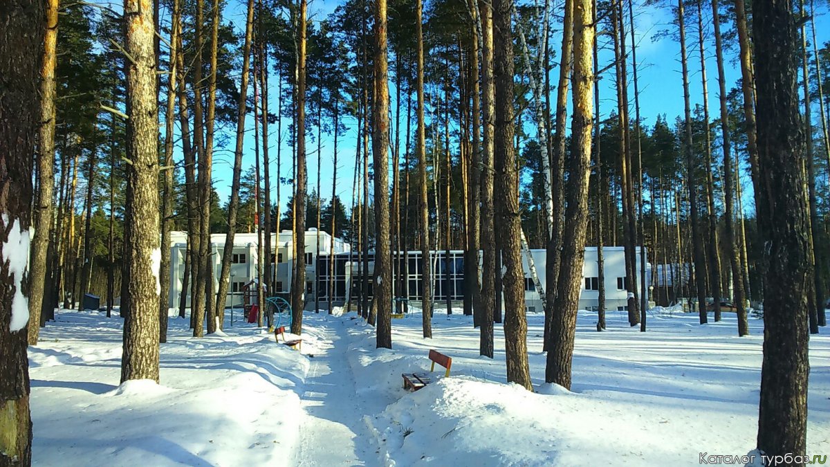 Зеленый Бор Рязань