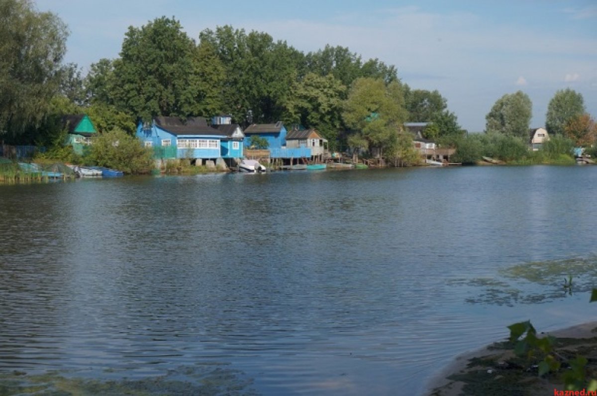 Лаишевский ДНТ ветеран